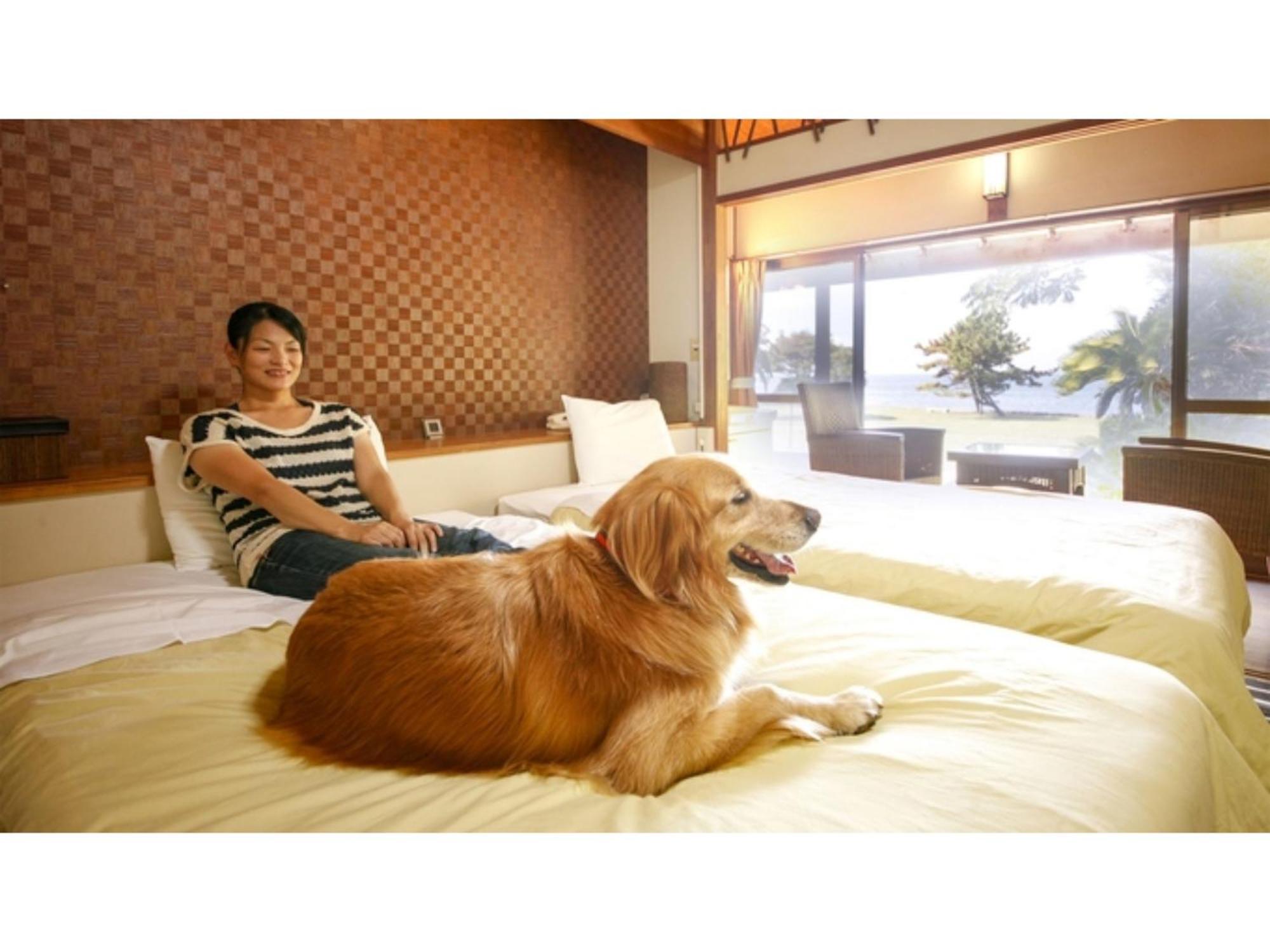 Japari Tateyama - Vacation Stay 84018V ภายนอก รูปภาพ