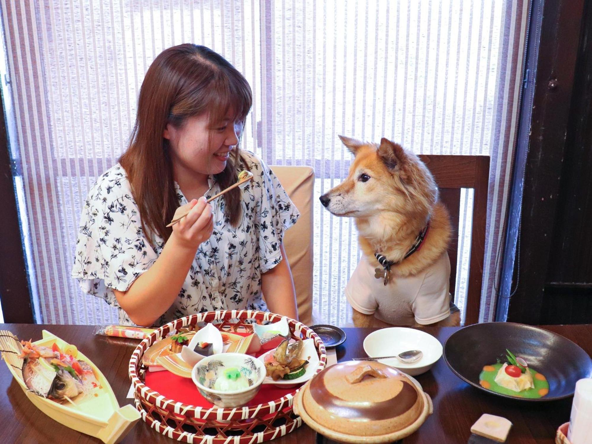 Japari Tateyama - Vacation Stay 84018V ภายนอก รูปภาพ