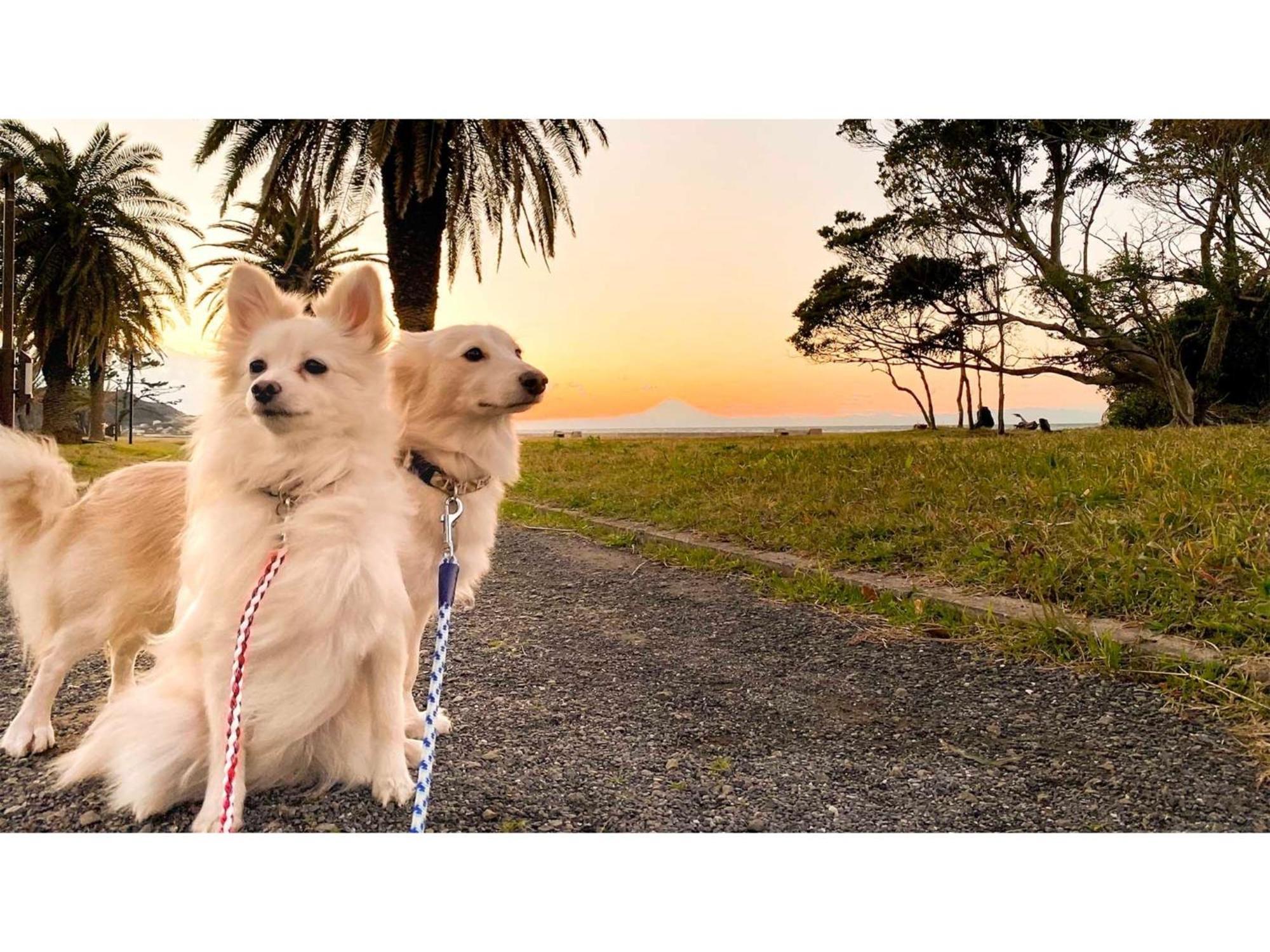 Japari Tateyama - Vacation Stay 84018V ภายนอก รูปภาพ
