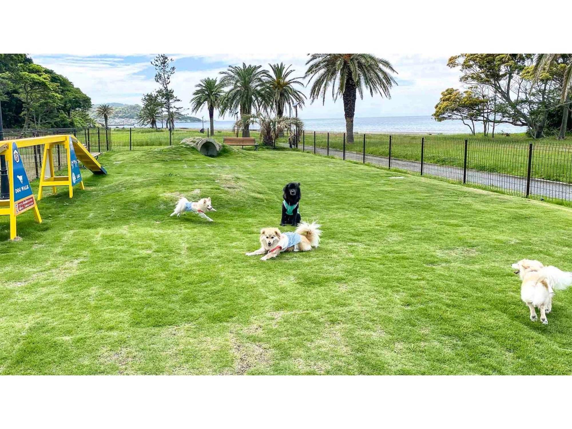 Japari Tateyama - Vacation Stay 84018V ภายนอก รูปภาพ