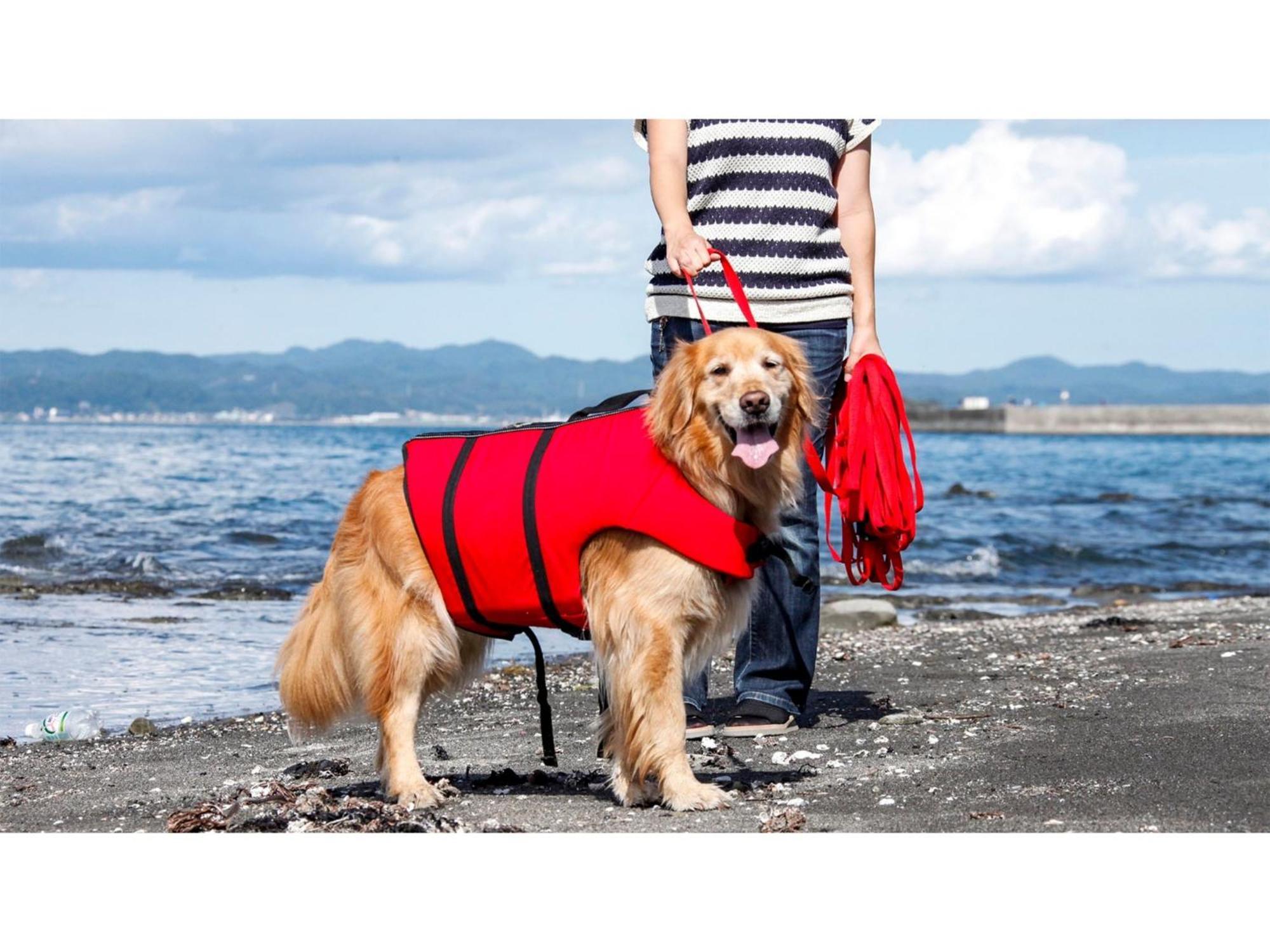 Japari Tateyama - Vacation Stay 84018V ภายนอก รูปภาพ