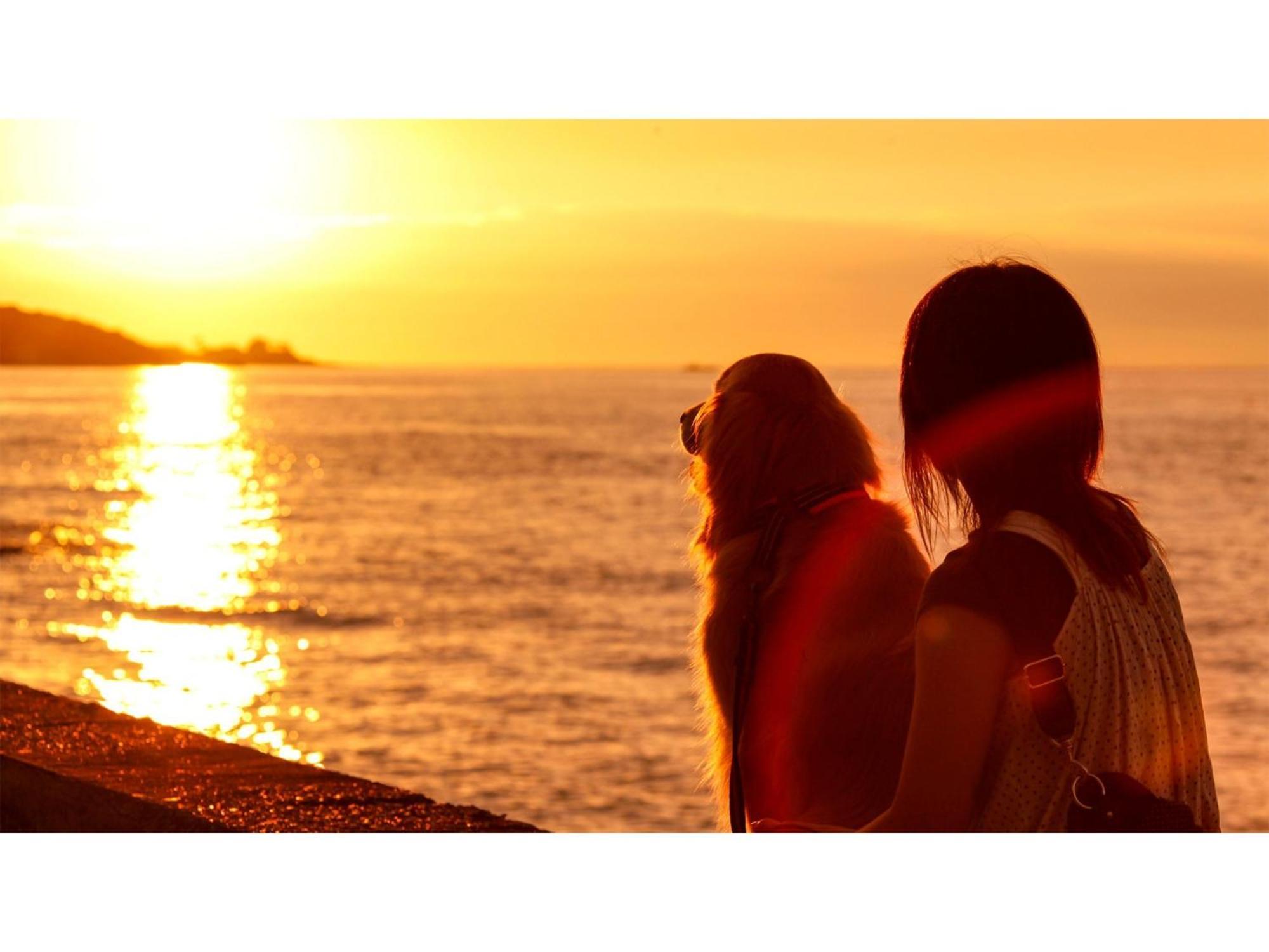 Japari Tateyama - Vacation Stay 84018V ภายนอก รูปภาพ