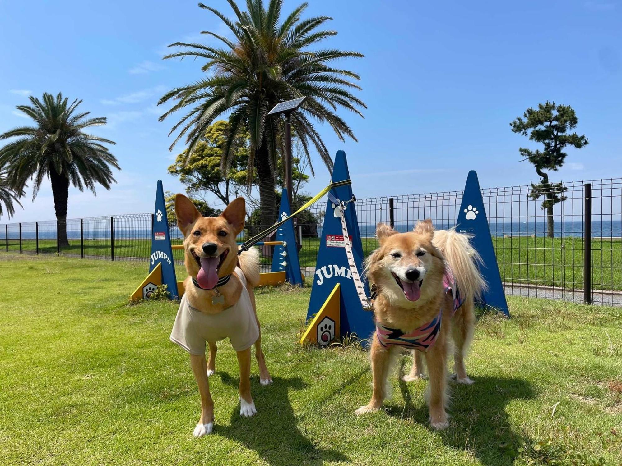 Japari Tateyama - Vacation Stay 84018V ภายนอก รูปภาพ