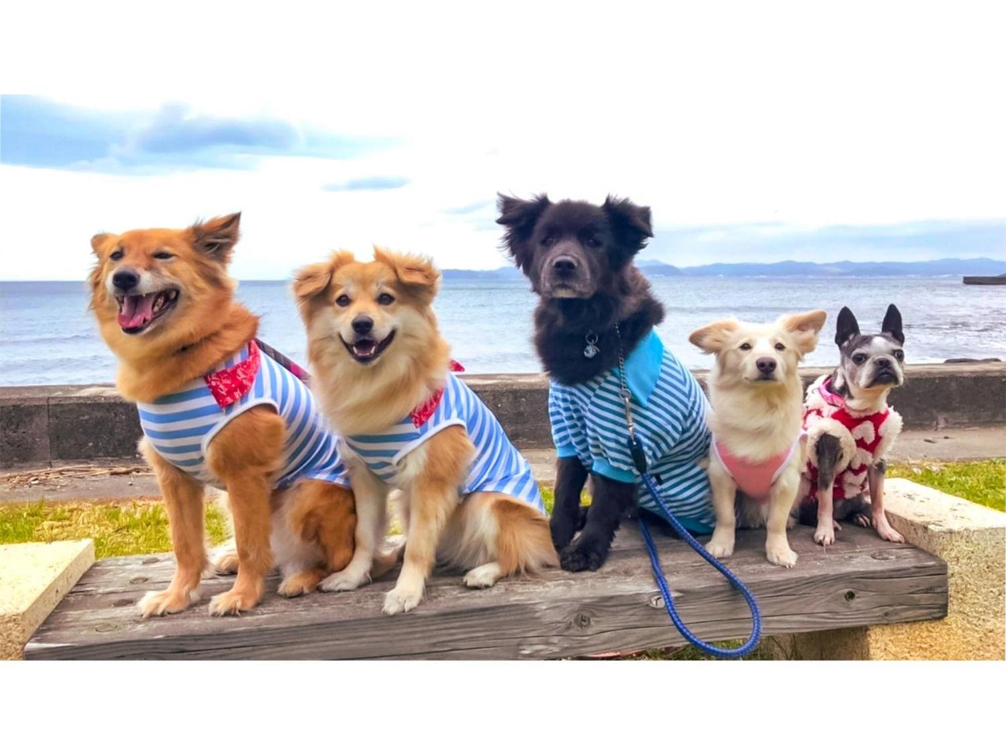 Japari Tateyama - Vacation Stay 84018V ภายนอก รูปภาพ